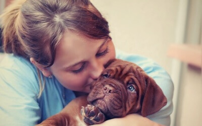 Signs that your dog loves you
