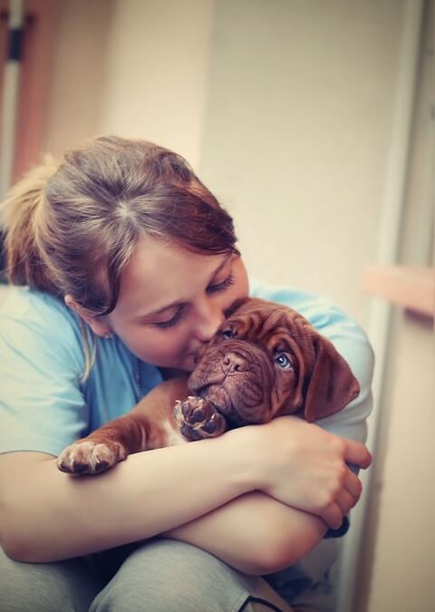 Signs that your dog loves you