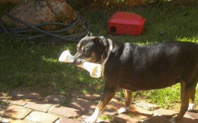 The Story About Disney – By Casey Baker