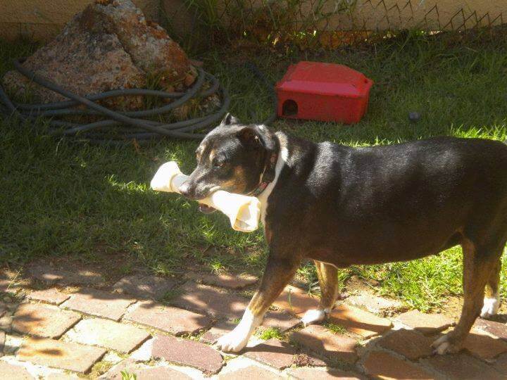 The Story About Disney – By Casey Baker