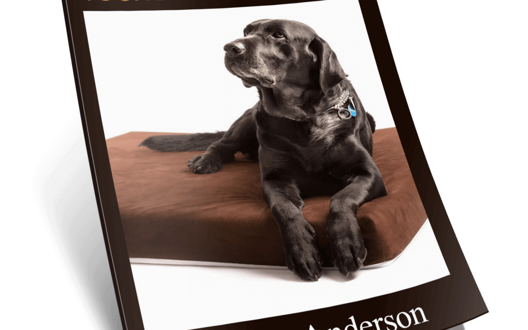 Fulfill Your Dogs Needs