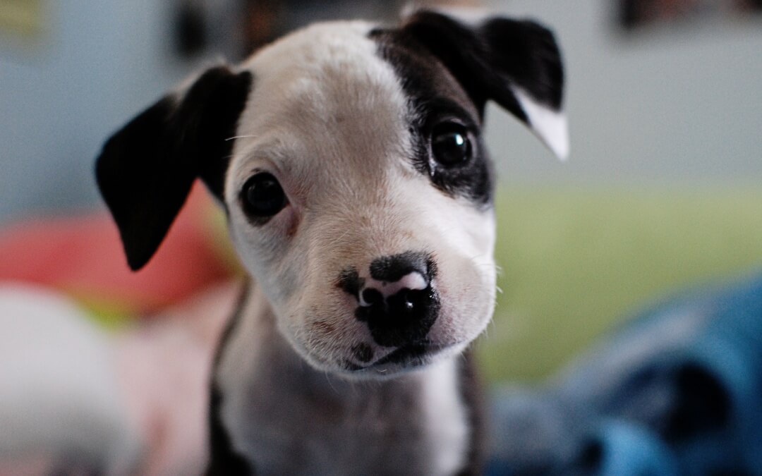 This Is So Beautiful