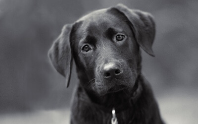 Have You Ever Seen This?