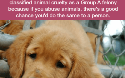 The FBI Now Tracks Animal Abuse
