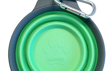 A Must Have If You Walk Your Dog Often