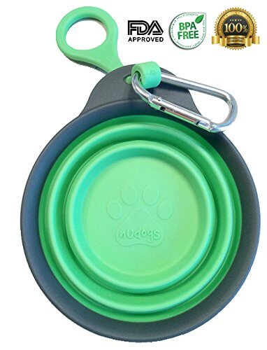 A Must Have If You Walk Your Dog Often