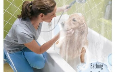 Amazing Dog Shower Curtain